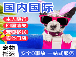 梅县机场货运国际宠物托运 【国